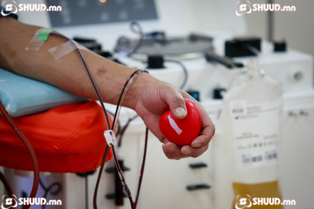 Н.Эрдэнэбаяр: Цусаа тогтмол өгдөг хүний цусны өтгөрөл бага байдаг