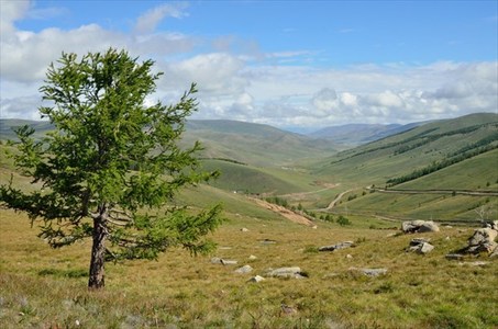 Загастайн давааг хоёр сар хаана 