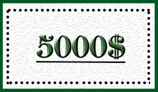 Тамирчны шагналын 4200 ам.доллар алдагджээ