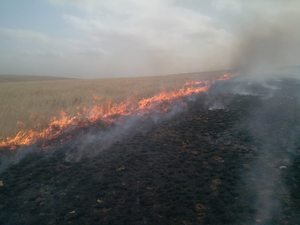 Түмэнцогт сумын айлуудыг нүүлгэн шилжүүлжээ