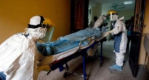Эбола вирусын халдвараар 10509 хүн нас баржээ