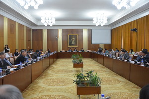 Цэц Үндсэн хуулийг дордуулж байна