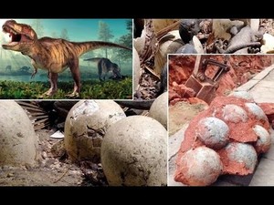 90 сая жилийн настай үлэг гүрвэлийн өндөг олджээ