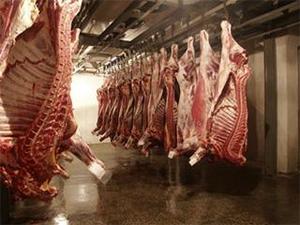 Монгол Улс БНХАУ руу мах экспортолно