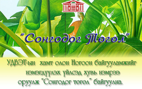  “Сонгодог төгөл” байгуулна