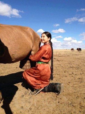 “Засагт ханы хот айл” гэр зуслантай болжээ