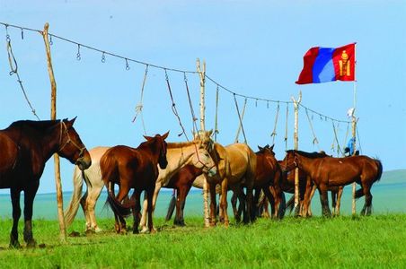 Уяачдад зориулан уриалга гаргалаа
