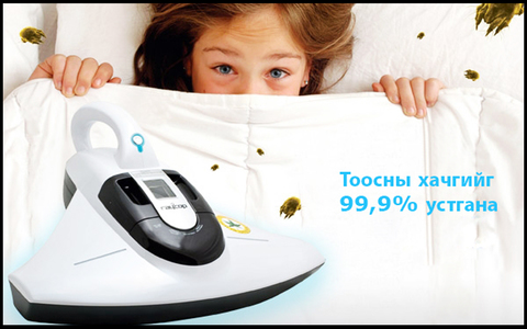 Гэрийн тоосны хачигийг УСТГАЯ