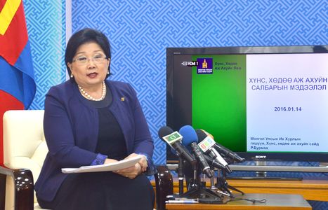 Экспортлох махыг 100 тэрбум төгрөгөөр бэлтгэнэ