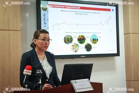 Малын тоо толгой 61.5 саяд хүрчээ