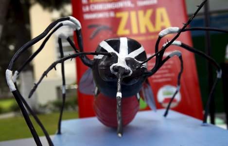 Хятадад зика дахин бүртгэгдлээ