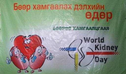 Өнөөдөр Бөөр хамгаалах дэлхийн өдөр