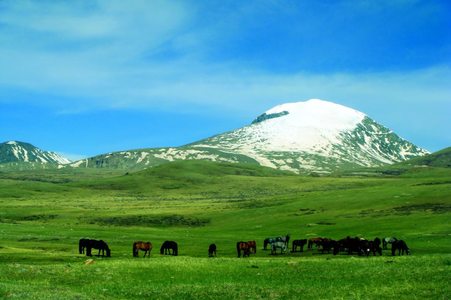 Отгонтэнгэр хайрхан уулын долоо дахь тахилга болно
