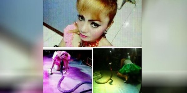 Тоглолтынхоо үеэр нас баржээ
