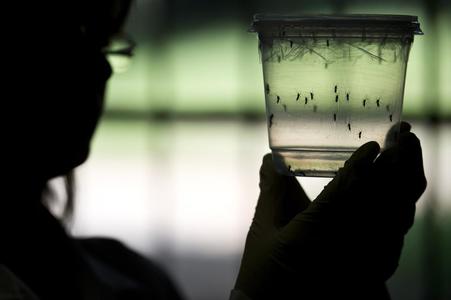Бэлгийн замаар зикагийн халдвар авчээ