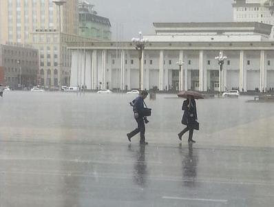 Улаанбаатарт бороо орно