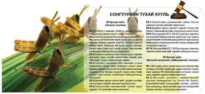 Хүн царцаануудад тооцох хуулийн хариуцлага байна уу