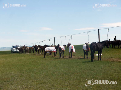 Нар аргамжсан гийнгоо