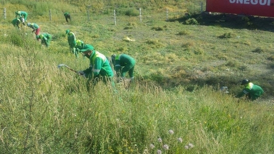 Улаанбаатар шарилжгүй болно