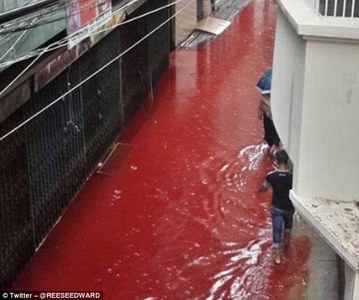 Бангладешийн гол улаан болов