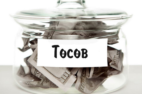 Төсөвт орлогоо яаж бүрдүүлэх вэ?