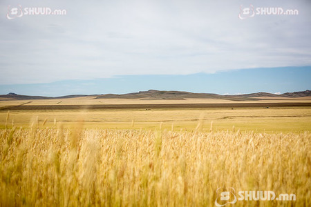 ФОТО: Намрын өнгө