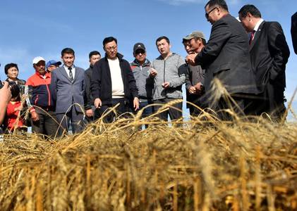Засгийн газар ногооны борлуулалтад анхаарна