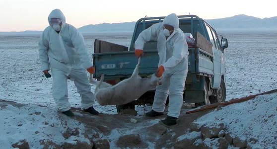 Монголын байгальд тэрбум төгрөгийн хохирол учраад байна