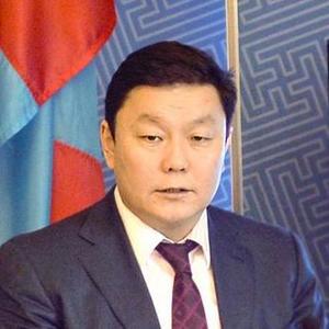 Уул уурхайн дэд  сайдаар Н.Төмөрхүүг томилох уу