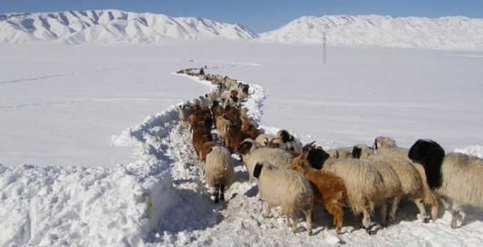 Аюулт үзэгдлээс сэрэмжлүүлж байна