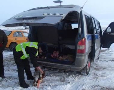 Малын хулгайн 58.8 хувь нь сэрүүний улиралд үйлдэгддэг