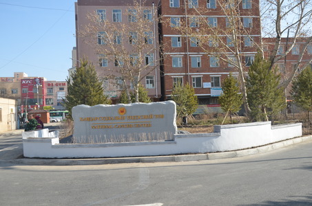 ХСҮТ гаднах талбайгаа тохижууллаа