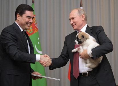 Путинд нохой бэлэглэв