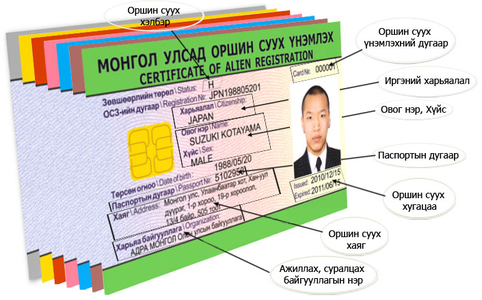 Гадаадын иргэн үнэмлэхээ биедээ авч яваагүй бол 100 мянган төгрөгөөр торгоно