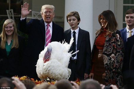 Трамп цацагт хяруулд өршөөл үзүүллээ