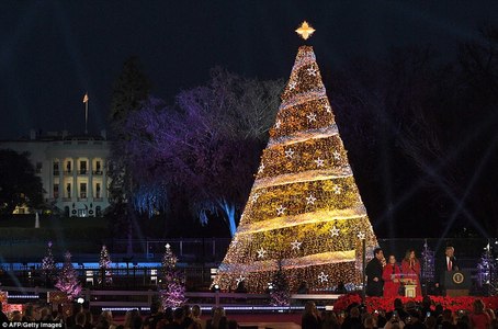 Цагаан ордны өмнөх Зул сарын мод гэрлээ асаалаа 