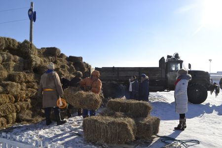  ОХУ-аас 51 мянган тонн өвс, тэжээл импортолно
