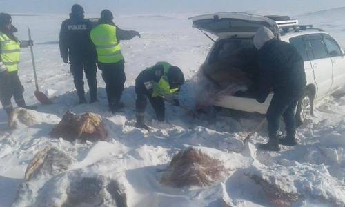 Олон удаагийн үйлдэлтэй хулгайн хэргийг илрүүлжээ