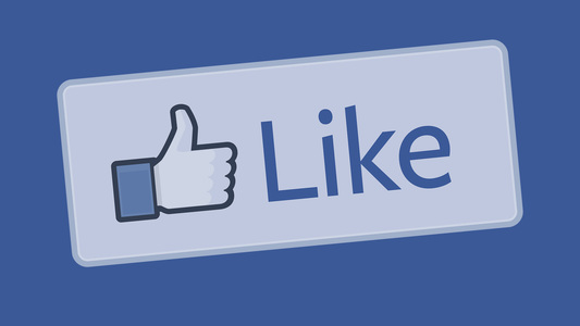 Ерөнхийлөгчөө LIKE-аар тодруулъя