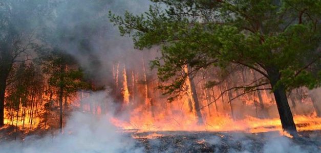 Бурхан Халдунд гарсан галыг Монголын Пажеро клубын залуус унтраажээ
