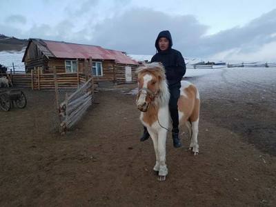 Алга болсон хүү эсэн мэнд олджээ