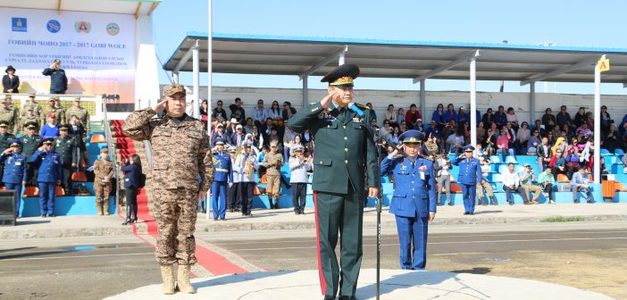 “Говийн чоно” Монголын брэнд болж байгааг онцоллоо