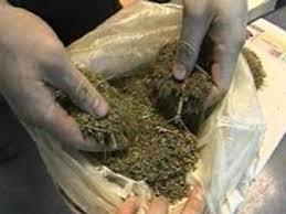 Мансууруулах бодисын хэрэглээ улс даяар тархаагүй