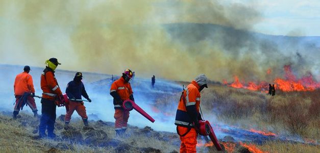 Дорнод аймагт гарсан хээрийн түймрийг унтраахаар ажиллаж байна