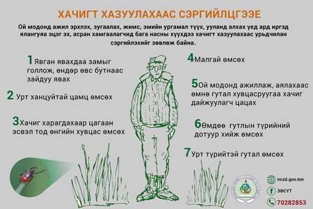 Хачигт энцефалитын хүний өвчлөл өсөх хандлагатай байна