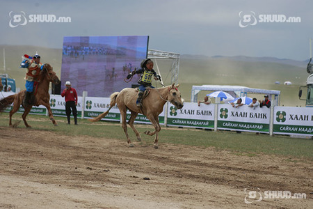Төв аймгаас хоёр шүдлэн айрагдлаа