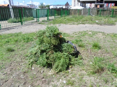 Шарилжгүй болоход 84 саяыг зарцуулна 