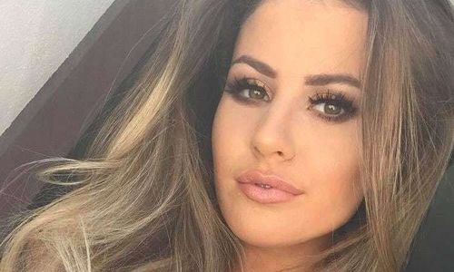 Британийн моделийг хулгайлж, хил давуулан зарах гэж байжээ