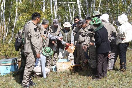 Ногоон бүсэд зөгийн аж ахуй эрхлэхийг уриалж байна