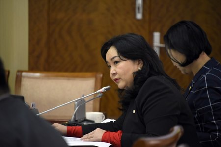  Байнгын хороодын хамтарсан хуралдаанаар Ажлын хэсгийн санал, дүгнэлтийг хэлэлцлээ